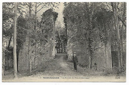 SAINT COULOMB - Les Ruines Du Plessis-Bertrand - Saint-Coulomb