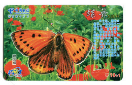 Télécarte China Télécom :  Papillon - Schmetterlinge