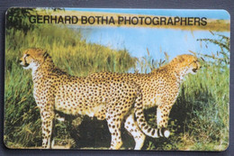 Rare Nice Phonecard Of Namibia Cheetah Botha, Colnect Number NMB 10 In Good Used Condition, For Collection Purpose Only - Namibia