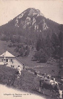 AIGUILLE DEBAULMES  VUE DE LA JOUGNENAZ                   LES VACHES - Baulmes