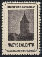 Nagyszalonta Salonta Ciunt Tower Occupation Revisionism WW1 Romania Hungary Transylvania - Vignette Label Cinderella - Transilvania