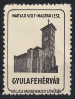 Alba Iulia Gyulafehérvár Church Occupation Revisionism WW1 Romania Hungary Transylvania Vignette Label Cinderella - Siebenbürgen (Transsylvanien)