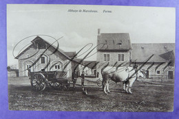 Maredsous Abbaye . Ferme Hoeve Attelage Ardennais. - Anhée