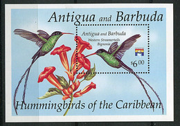 Antigua - Blioc 234 - Colibris - Antigua Et Barbuda (1981-...)