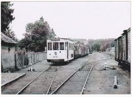 Marloie - Cour à Marchandises - Photo - & Tram - Trains