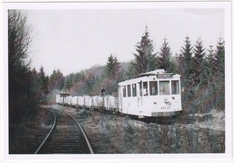 Saint-Hubert - Convoi De Transport De Bois - Photo - & Tram, Train - Eisenbahnen