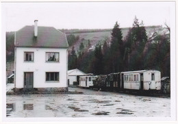 Houffalize - Station Vicinale - Photo - & Train, Tram, Railway Station - Treni