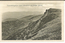 CPA , Allemagne , N°391,Taubenklangfelsen Gegen Mûnstertal Und Grober Belchen , Ed. A.G. - Münstertal