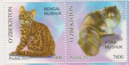 Uzbekistan 2021 Domestic Animals Cats 2v MNH - Domestic Cats