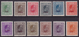 Kingdom Of Yugoslavia, 1926, King Alexander, Flood Surplus, Complete Set, MNH, Unmanipulated Gum, Very Good Quality - Unused Stamps