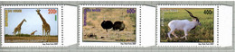 Niger 2007, Bird, Birds, Ostrich, Set Of 3v, MNH** - Straussen- Und Laufvögel