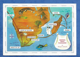 LES CANARIES LAS PALMAS Périple En AFRIQUE AUSTRALE Cp Pub PLASMARINE-MARINOL  à Docteur Masson Remilly Moselle - La Palma