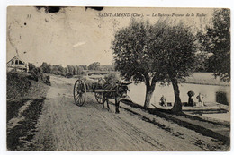CPA   18    SAINT AMAND MONTROND    1909    LE BATEAU PASSEUR DE LA ROCHE   -   ATTELAGE PETIT ANE - Saint-Amand-Montrond