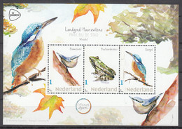 Nederland Persoonlijke Zegels PostNL Thema: Vogels, Bird: IJsvogel, Kingfisher, Boomklever, Bastaardkikker, Frog - Unused Stamps