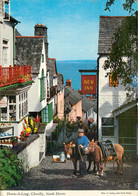 CPSM Down A Long,Clovelly,Devon-Timbre     L1078 - Clovelly