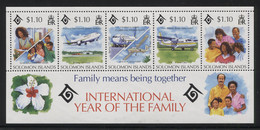 Solomon Islands - 1994 Year Of The Family Block MNH__(THB-3777) - Salomon (Iles 1978-...)