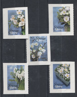 Sweden - 2017 Winter Flowers Self-adhesive MNH__(TH-1499) - Nuevos