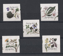 Sweden - 2018 Edible Plants Self-adhesive MNH__(TH-14242) - Unused Stamps