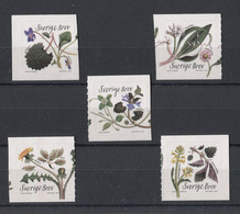 Sweden - 2018 Edible Plants Self-adhesive MNH__(TH-14242) - Nuovi