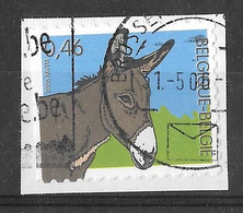 BELGIUM - COB 3481 (o) - Ane - Ezel - Donkey - Donkeys