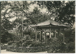 Botanischer Garten Berlin - Japanische Gartenlaube - Verlag W. Domke Berlin - Dahlem