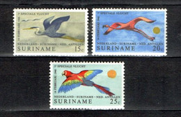 SURINAME, 1971,  MNH Stamp(s , Birds,  NVPH Nr. 553-555,  Scannr. 7780 - Surinam ... - 1975