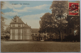 COPPET Le Château - Coppet