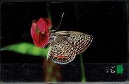 OMAN 1998 PHONECARD BUTTERFLIES USED VF!! - Butterflies