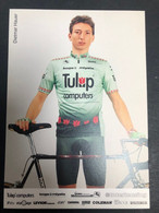 Dietmar Hauer - Tulip - 1991 - Carte / Card - Cyclists - Cyclisme - Ciclismo -wielrennen - Cycling