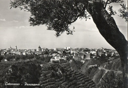 Delcampe - CATANZARO - PANORAMA - VERA FOTO  - F.G - Catanzaro