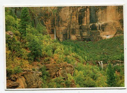 AK 016826 USA - Utah - Zion National Park - Zion