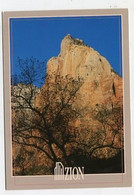 AK 016829 USA - Utah - Zion National Park - Zion