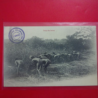 COUPE DES HERBES CACHET BATEAU VERSO - French Congo