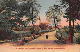 ¤¤   -   CARQUEFOU   -  Route De Sucé Au Pont De Charbonneau   -  ¤¤ - Carquefou