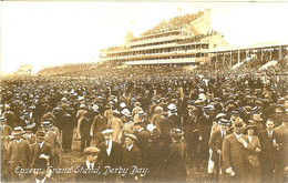 SURREY EPSOM GRAND STAND DERBY DAY THE LIBRARY EPSOM 7 - Surrey