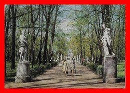 CPSM/gf LENINGRAD (Russie)  Dans Le Jardin D'été, Statues De Marbre...N198 - Rusia