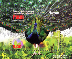 Bosnia And Herzegovina 2019 Block MNH Peacock Paon Birds Bird Oiseaux Oiseau - Pauwen