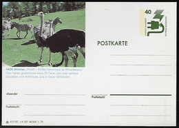 Germany 1975 Postal Stationery Card Animal Fauna Bird Ostrich And Mammal Zebra At The Allwetter Zoo In Münster Unused - Autruches