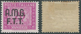 1947-49 TRIESTE A SEGNATASSE 20 LIRE GOMMA BICOLORE LINGUELLATO - P17-7 - Segnatasse