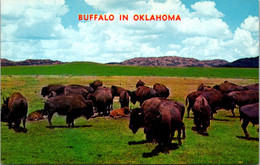 Oklahoma Wichita Mountain Wildlife Refuge Buffalo Herd - Sonstige & Ohne Zuordnung
