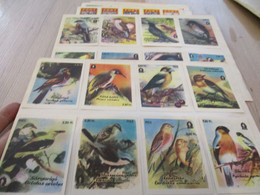 Collection Devant De Boîte D'allumettes Smatches X2 Planches Oiseaux Birds En Flamand - Luciferdozen