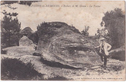 77. ST-PIERRE-LES-NEMOURS. Rochers De M. Grean. La Tortue - Saint Pierre Les Nemours