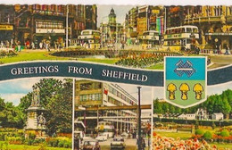 GEETINGS From SHEFFIELD - Sheffield