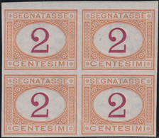 Regno D'Italia 1870 2 C. Ocra E Carminio Prove D'archivio Sass. P4 MNH** Firmato Ray. Cv. 1920 - Taxe