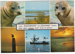 Laat 'WADDENZEE' En 'ZEEHOND' Leven, Door Geen Natuur Meer Prijs Te Geven. - (Nederland/Holland) - Nr. 360 - Otros & Sin Clasificación