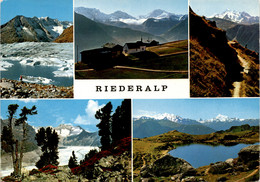 Riederalp - 5 Bilder (44900) * 27. 7. 1971 - Riederalp