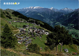 Riederalp (44902) - Riederalp