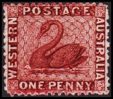 1864. Western Australia. ONE PENNY. Swan. No Gum. Beautiful Stamp.  (Michel 14) - JF512295 - Nuovi