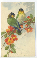 CPA Illustrateur C. KLEIN - Couple De Becs Croisés Sur Branche Fleurie Pommier Du Japon - Oiseaux - Vogels