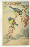 CPA Illustrateur - Couple De Mésanges Sur Branche Fleurie - Oiseaux - Birds